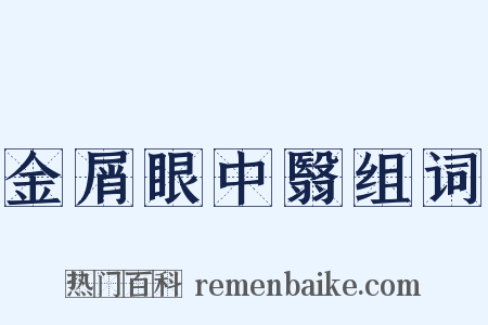 金屑眼中翳组词是什么意思的图片